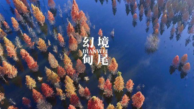 《侦察英雄》白昌镐设局，陈述民牺牲，梁辰孤立无援离死不远