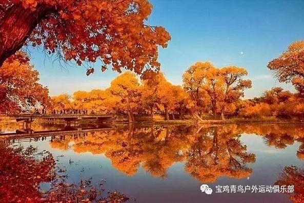 救援卡通老虎