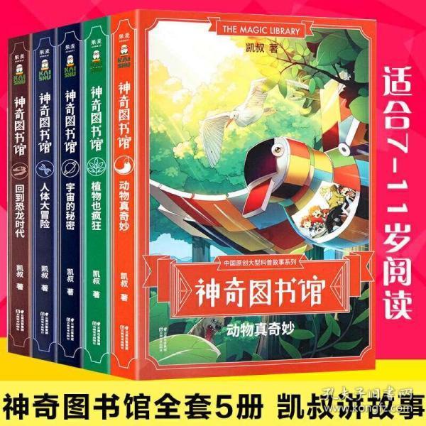空军战斗