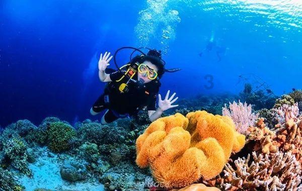 下沙14号大街到萧山传化物流园多少公里？游戏画面