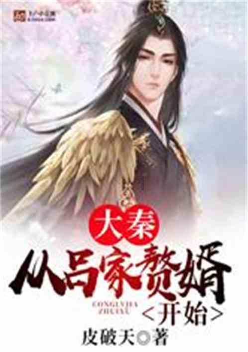 巫师2：刺客之王