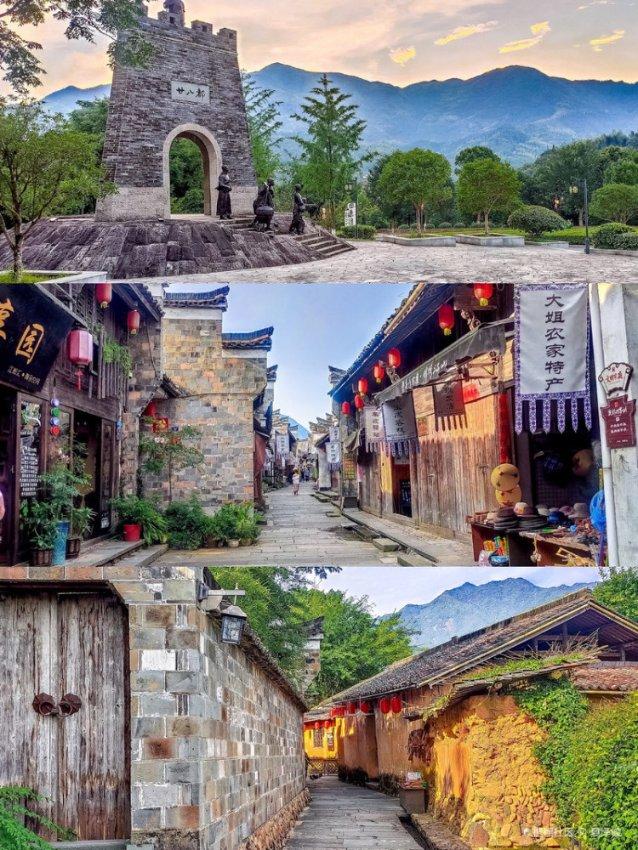 逃离鱼店